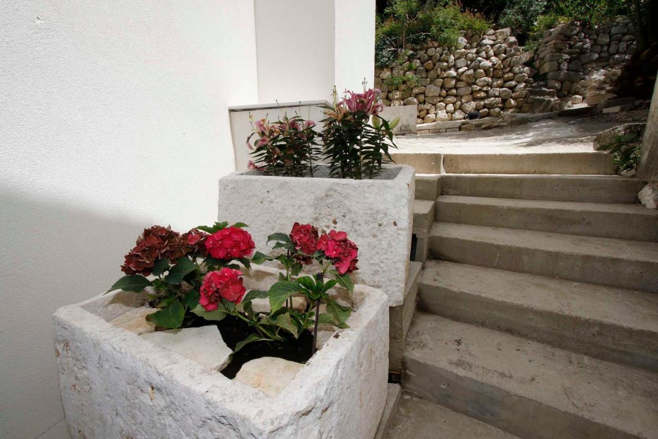 Apartmani Rustica Drasnice Luaran gambar